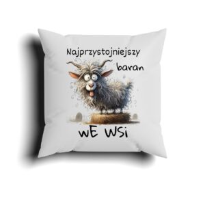 Poduszka na Walentynki / Zabawna